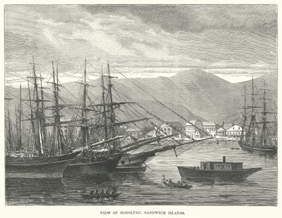 Gezicht op Honolulu, Sandwicheilanden (gravure) door English School