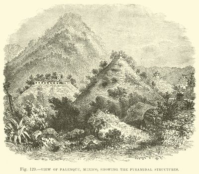 Uitzicht op Palenque, Mexico, met de piramidale structuren door English School