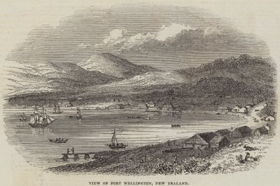 Uitzicht op Port Wellington, Nieuw-Zeeland (gravure) door English School