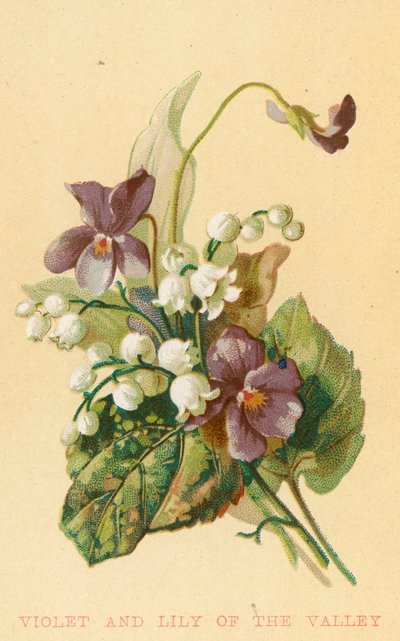 Viooltje en lelietje-van-dalen door English School