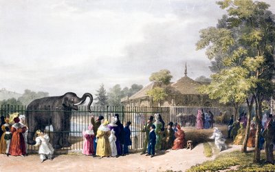 Bezoekers van de London Zoo, Regent