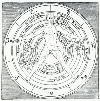 Vitruviaanse figuur, uit 