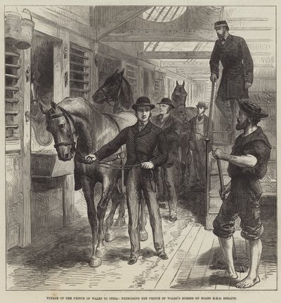 Reis van de prins van Wales naar India, het oefenen van de paarden van de prins van Wales aan boord van HMS Serapis door English School