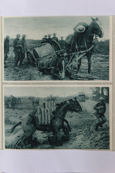 Oorlogspaarden zinken in de modder, Noord-Frankrijk, augustus 1917 door English School