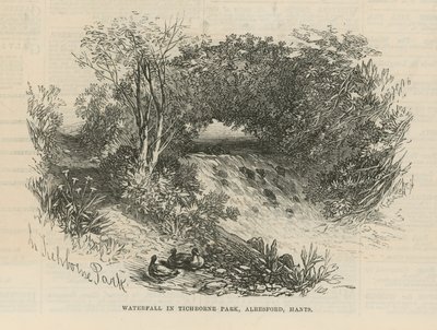 Waterval in Tichborne Park door English School