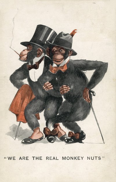 Wij zijn de echte Monkey Nuts door English School
