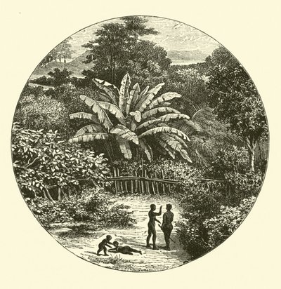 West-Afrika door English School