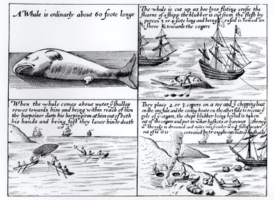 Walvisvangst bij Spitsbergen in 1611 door English School