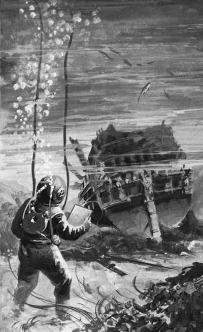Toen Zweedse marine duikers naar beneden gingen, vonden ze de Vasa in verrassend goede staat door English School
