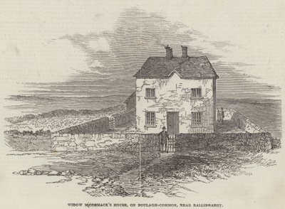 Het Huis van Weduwe M
