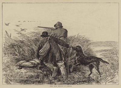 Wilde Eenden Jagen in Norfolk door English School