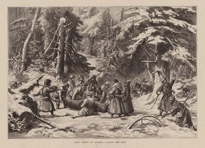 Wilde sporten van Rusland, I, Het nemen van de huid (gravure) door English School