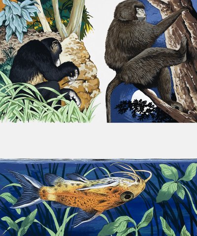 Montage van wilde dieren door English School