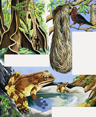Montage van wilde dieren door English School