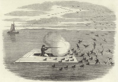 Jacht op wilde eenden op de Potomac door English School