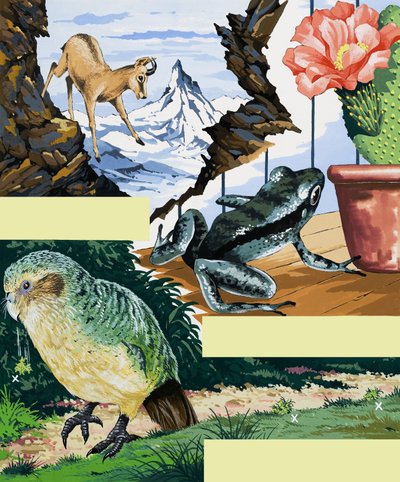 Wildlife montage door English School