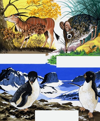 Wildlife montage door English School