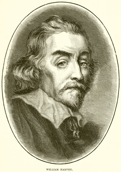 William Harvey door English School