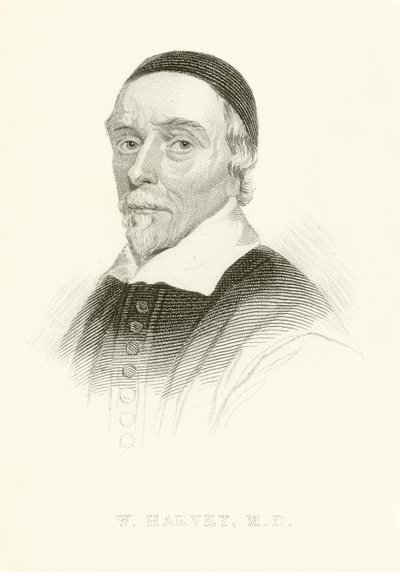 William Harvey door English School
