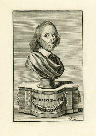 William Harvey door English School
