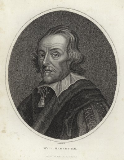 William Harvey door English School