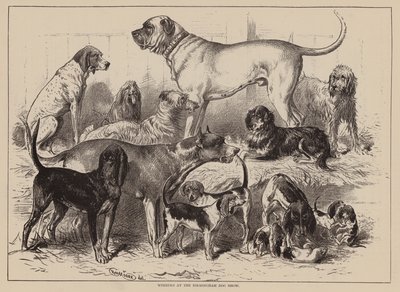Winnaars op de Birmingham Dog Show (gravure) door English School