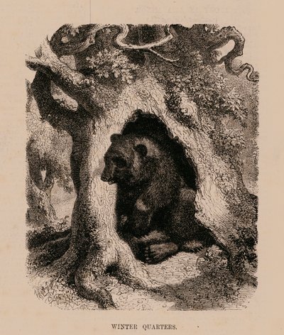 Winters kwartiertje (gravure) door English School
