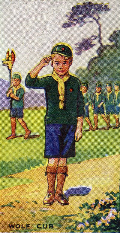 Wolf Cub, 1923 door English School