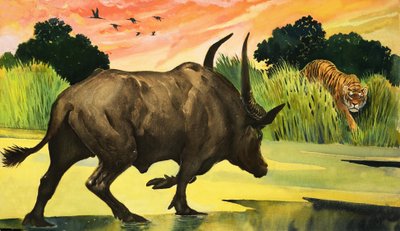 Wonderen der natuur: Het felste dier van allemaal door English School