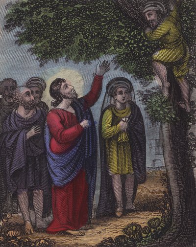 Zaccheus klom in de boom ... door English School