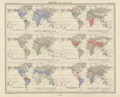 Zoogeografie: Amphibia, Anura, Urodela, Apoda door English School
