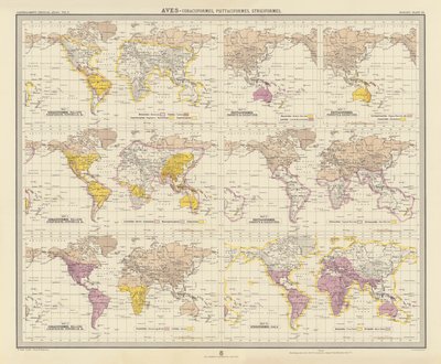 Zoogeografie: Aves, Coraciiformes, Psittaciformes, Strigiformes door English School