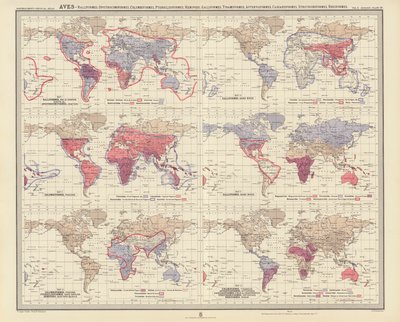 Zoogeografie: Aves, Ralliformes, Opisthocomiformes, Columbiformes, Pteroclidiformes, Hemipodii, Galliformes, Tinamiformes, Apterygiformes, Casuariiformes, Struthioniformes, Rheiformes door English School