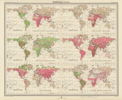 Zoogeografie: Mammalia, Carnivora door English School