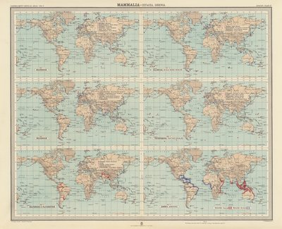 Zoogeografie: Mammalia, Cetacea, Sirenia door English School