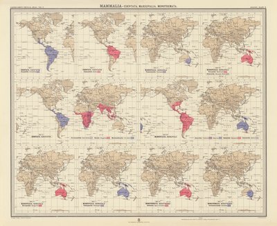 Zoogeografie: Mammalia, Edentata, Marsupialia, Monotremata door English School