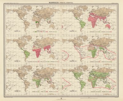 Zoogeografie: Mammalia, Primates, Chiroptera door English School