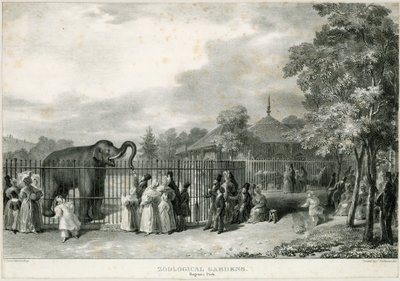 Zoologische Tuinen, Regents Park door English School