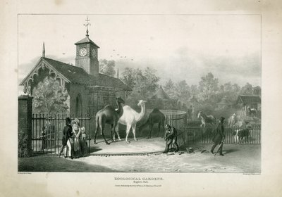 Zoologische Tuinen, Regents Park door English School