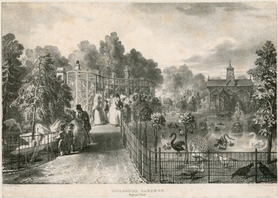 Dierentuin, Regents Park door English School