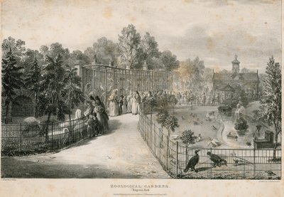 Dierentuin, Regents Park door English School