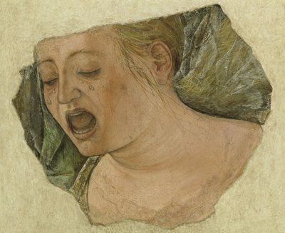 Hoofd van Maria Magdalena huilend, van de Kruisiging door Ercole de Roberti
