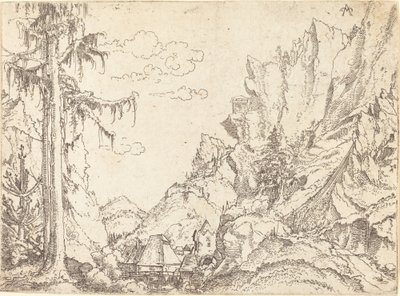 Berglandschap door Erhard Altdorfer