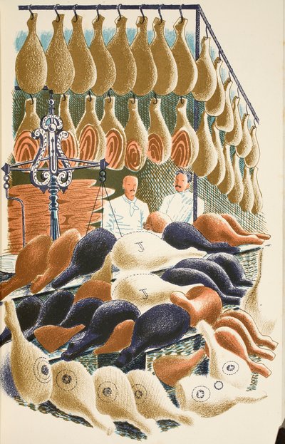 Ham, illustratie uit 