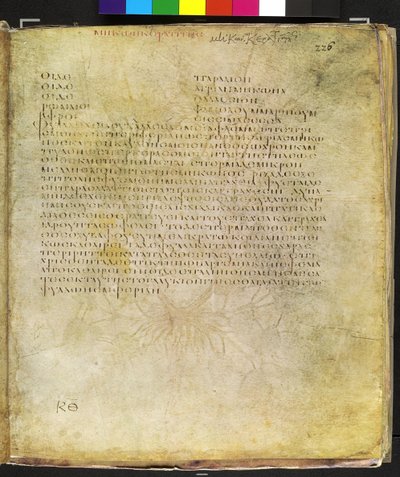 Volledige pagina: tekst voor gele hoornpapaver door Erich Lessing