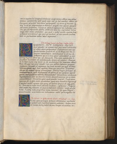 Volledige pagina: tekst met twee