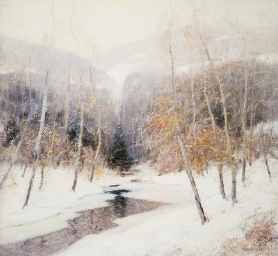 Sneeuwval door Ernest Albert