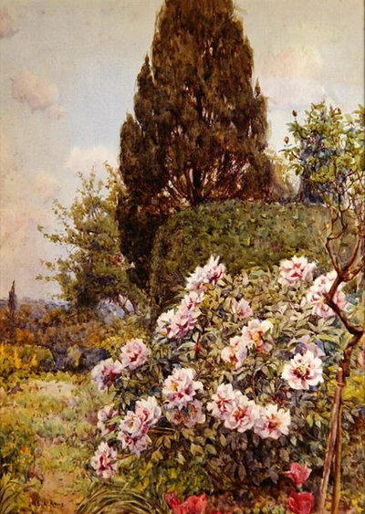 Pioenen, Coddington, nabij Ledbury door Ernest Arthur Rowe