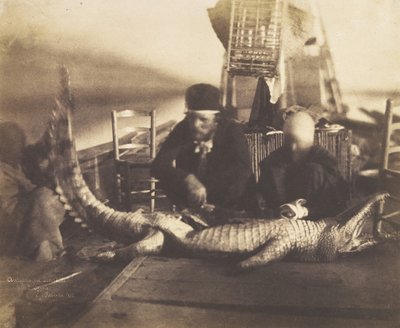 Autopsie van de eerste krokodil aan boord, Opper-Egypte, 1852 door Ernest Benecke