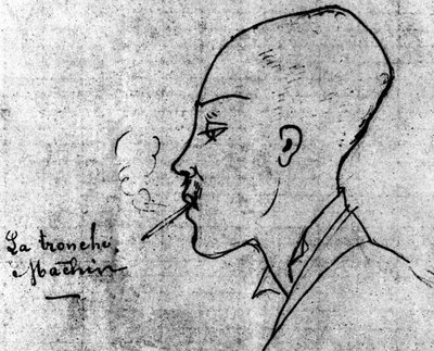 Het gezicht heeft iets, portret van Arthur Rimbaud door Ernest Delahaye uit 1875. door Ernest Delahaye